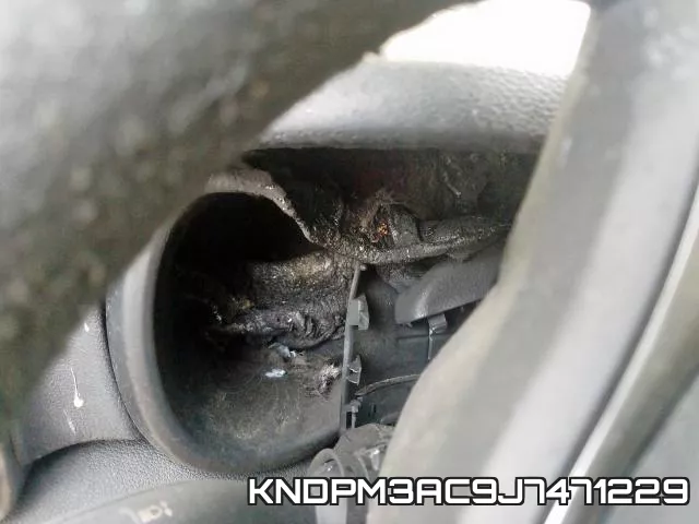 KNDPM3AC9J7471229 фото 5