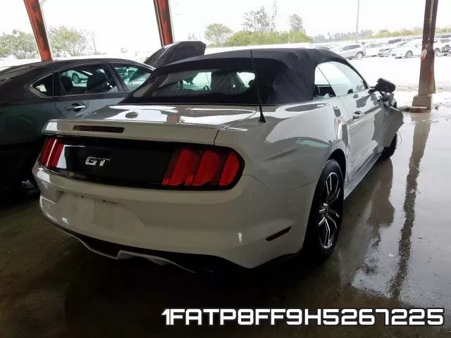 1FATP8FF9H5267225 фото 2