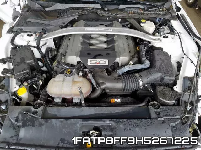 1FATP8FF9H5267225 фото 5