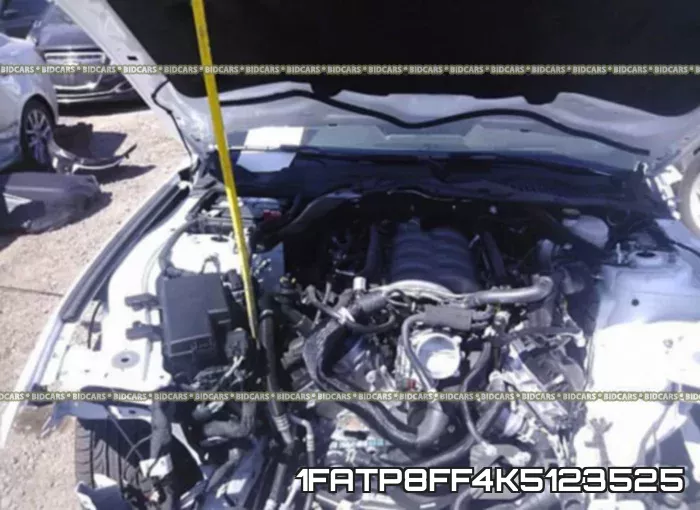 1FATP8FF4K5123525 фото 2