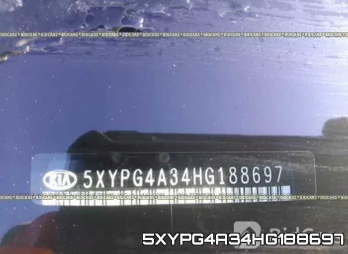 5XYPG4A34HG188697 фото 10