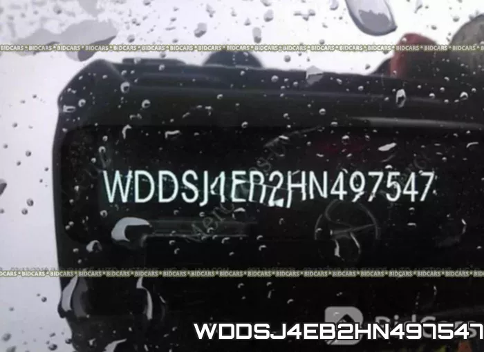 WDDSJ4EB2HN497547 фото 10