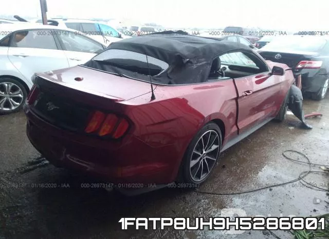 1FATP8UH9H5286801 фото 5