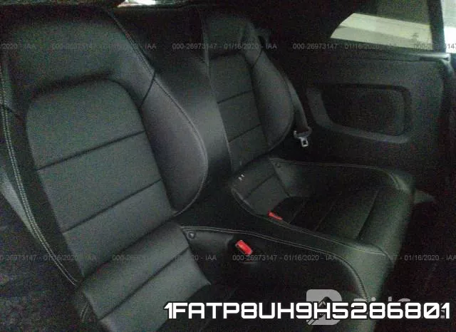 1FATP8UH9H5286801 фото 7