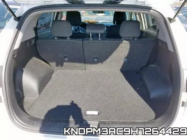 KNDPM3AC9H7264429 фото 9