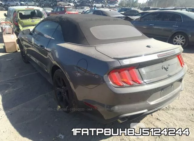1FATP8UH8J5124244 фото 2