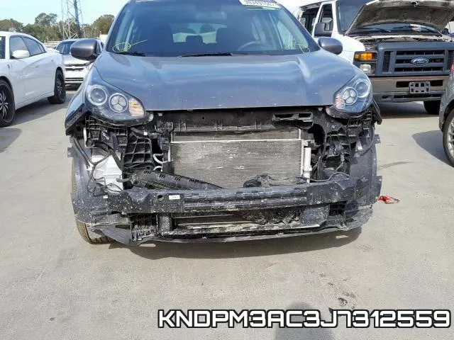 KNDPM3AC3J7312559 фото 8
