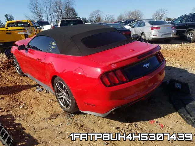 1FATP8UH4H5307439 фото 4