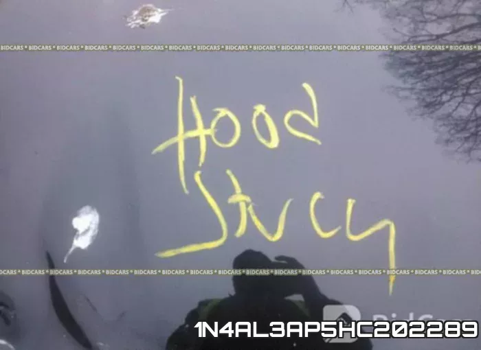 1N4AL3AP5HC202289 фото 2