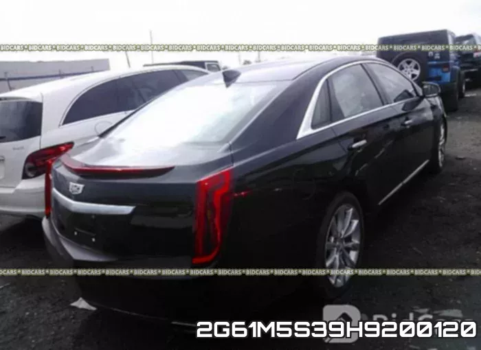 2G61M5S39H9200120 фото 5