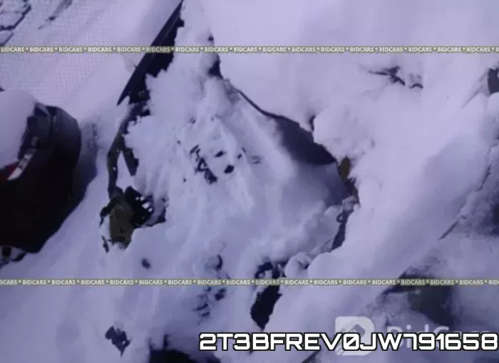 2T3BFREV0JW791658 фото 2