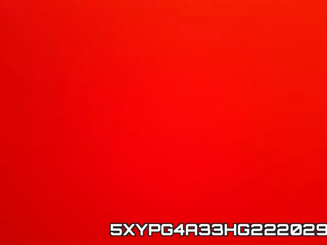 5XYPG4A33HG222029 фото 9