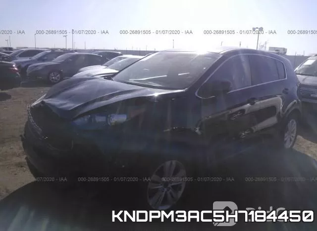 KNDPM3AC5H7184450 фото 3