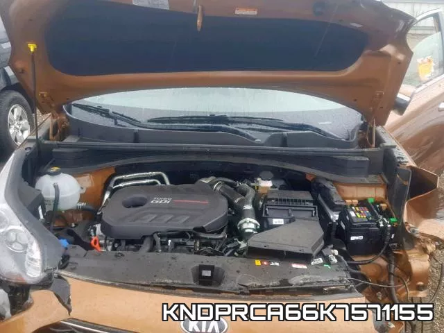 KNDPRCA66K7571155 фото 8