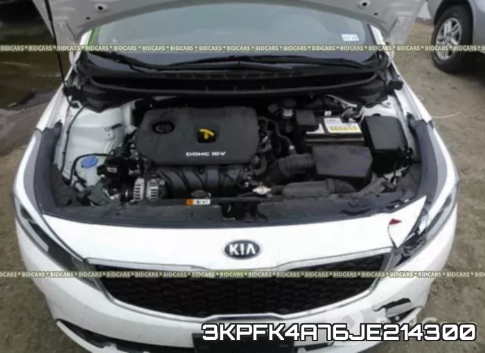 3KPFK4A76JE214300 фото 2