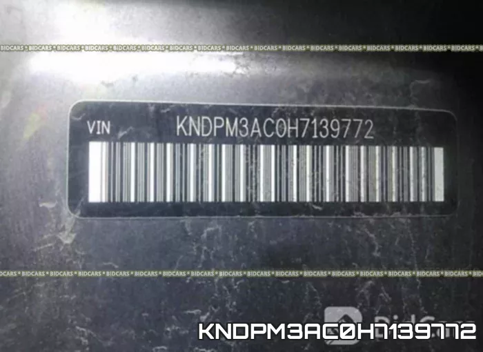 KNDPM3AC0H7139772 фото 10