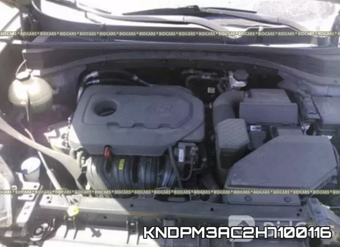 KNDPM3AC2H7100116 фото 2