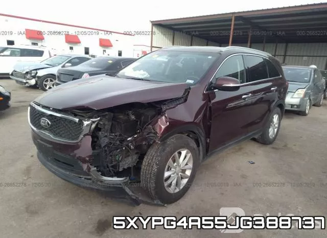 5XYPG4A55JG388737 фото 3