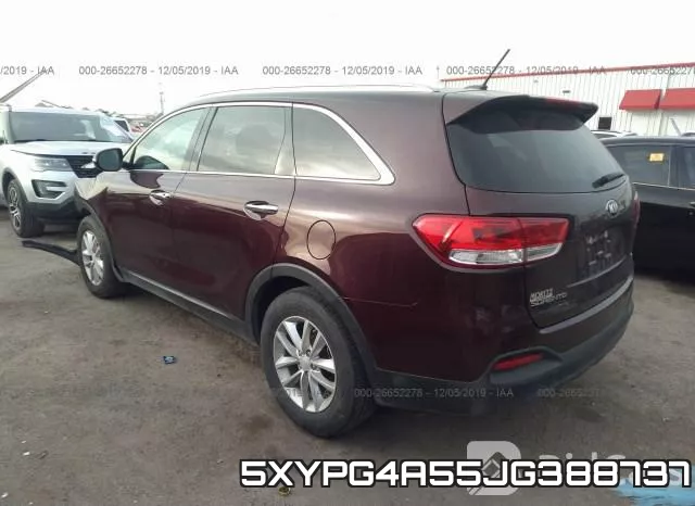 5XYPG4A55JG388737 фото 4