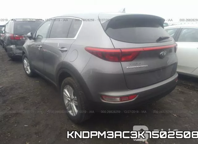 KNDPM3AC3K7502508 фото 4