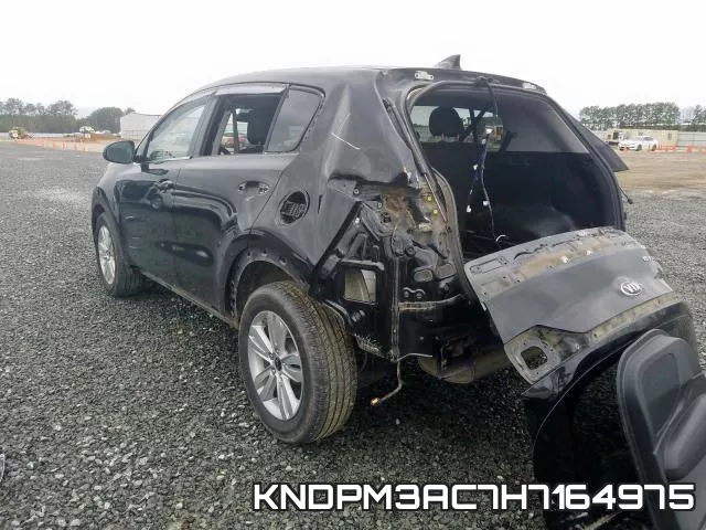 KNDPM3AC7H7164975 фото 4