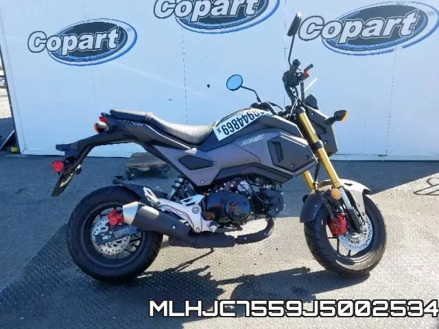 MLHJC7559J5002534 фото 10