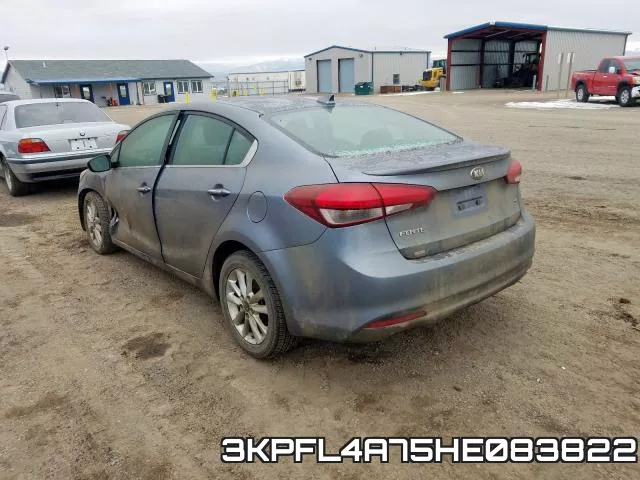 3KPFL4A75HE083822 фото 4