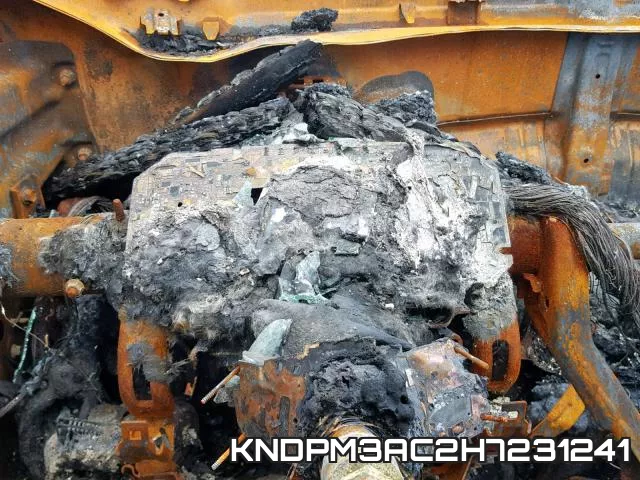 KNDPM3AC2H7231241 фото 9
