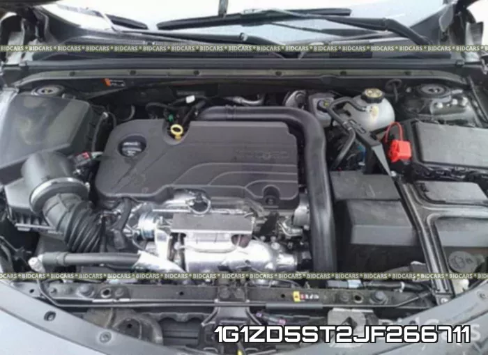 1G1ZD5ST2JF266711 фото 2