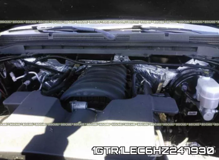 1GTR1LEC6HZ247930 фото 2