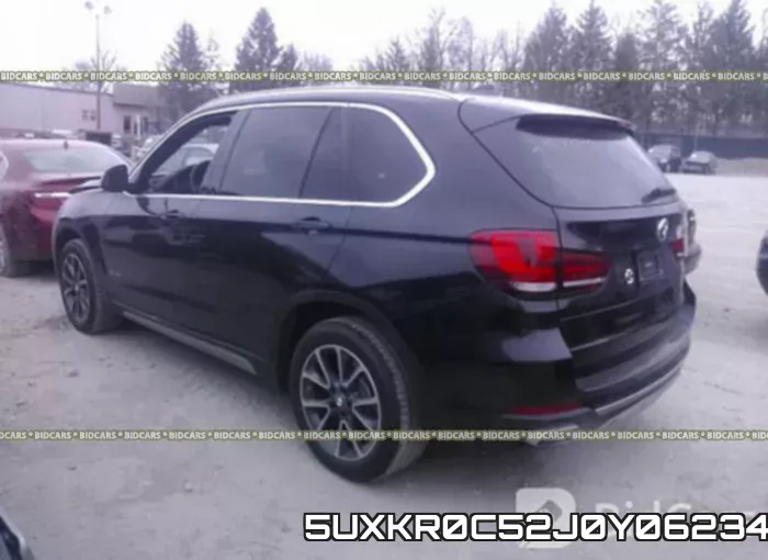 5UXKR0C52J0Y06234 фото 4