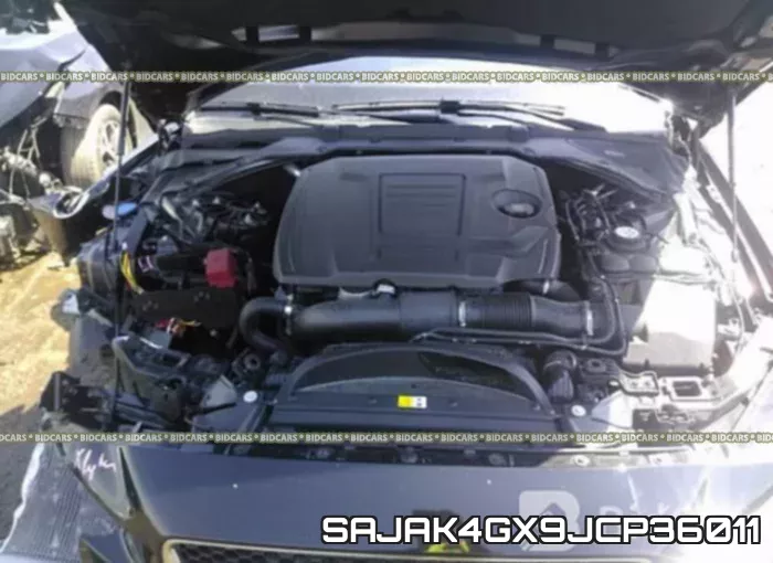 SAJAK4GX9JCP36011 фото 2