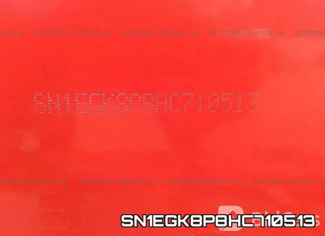 SN1EGK8P8HC710513 фото 10