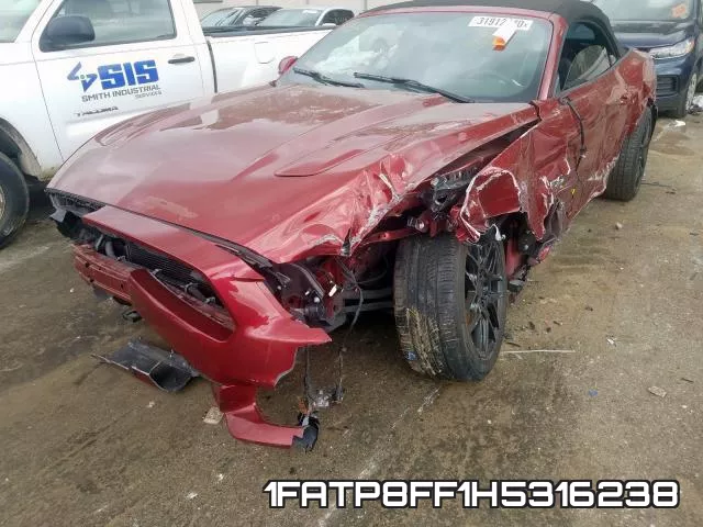 1FATP8FF1H5316238 фото 3