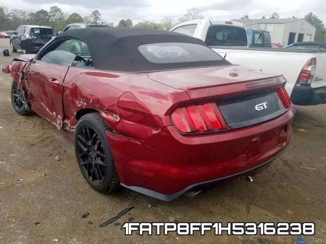 1FATP8FF1H5316238 фото 4