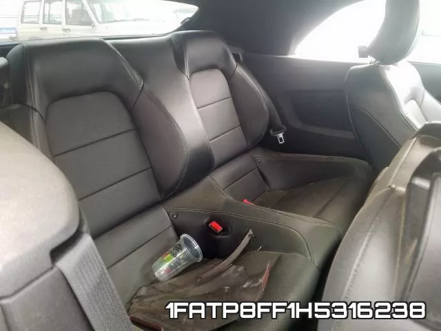 1FATP8FF1H5316238 фото 7