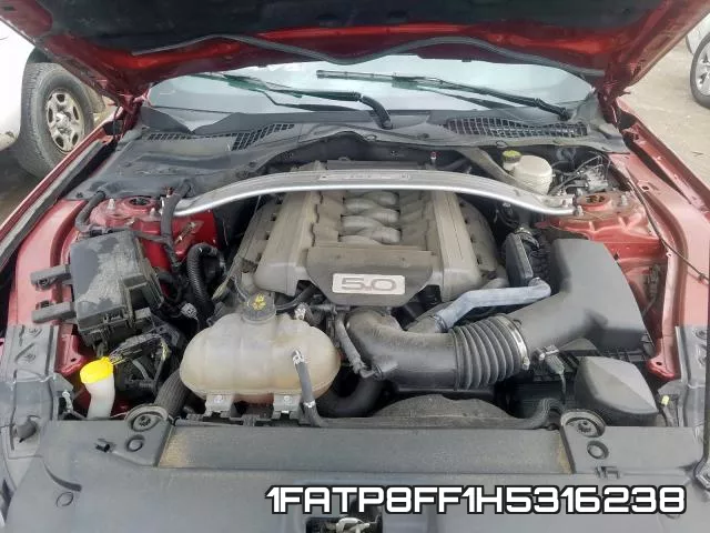 1FATP8FF1H5316238 фото 8