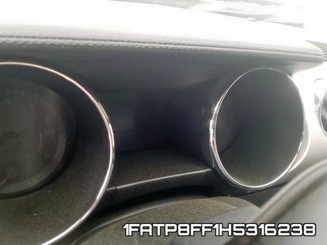 1FATP8FF1H5316238 фото 9