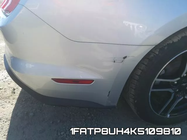 1FATP8UH4K5109810 фото 10