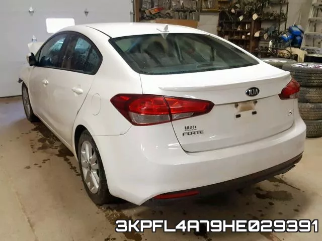 3KPFL4A79HE029391 фото 4