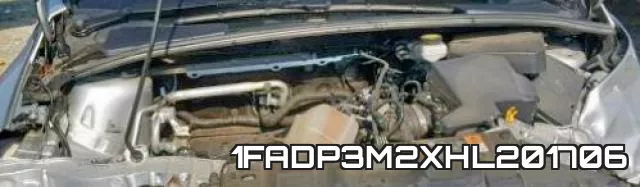 1FADP3M2XHL201706 фото 8