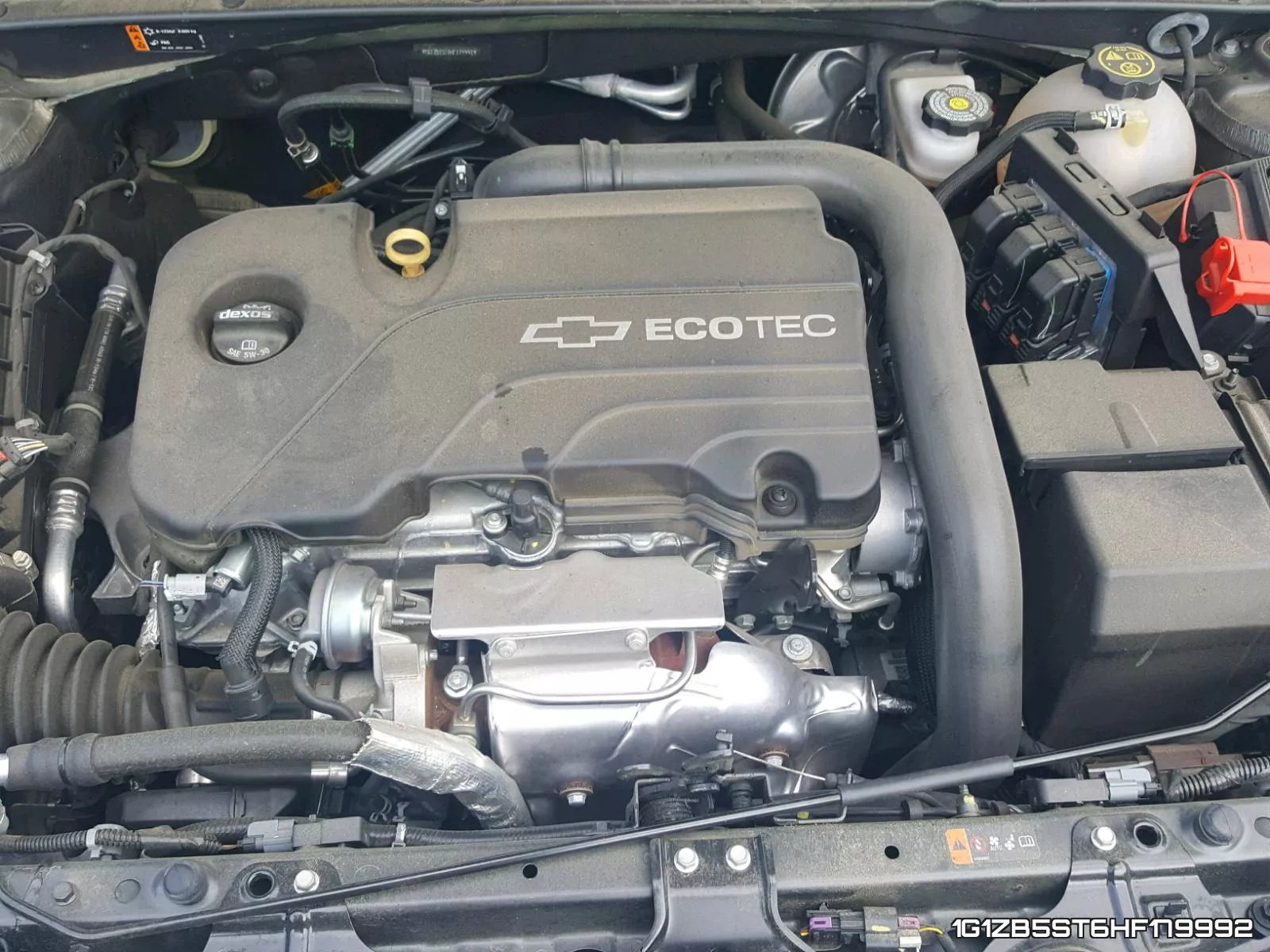 1G1ZB5ST6HF179992 фото 8