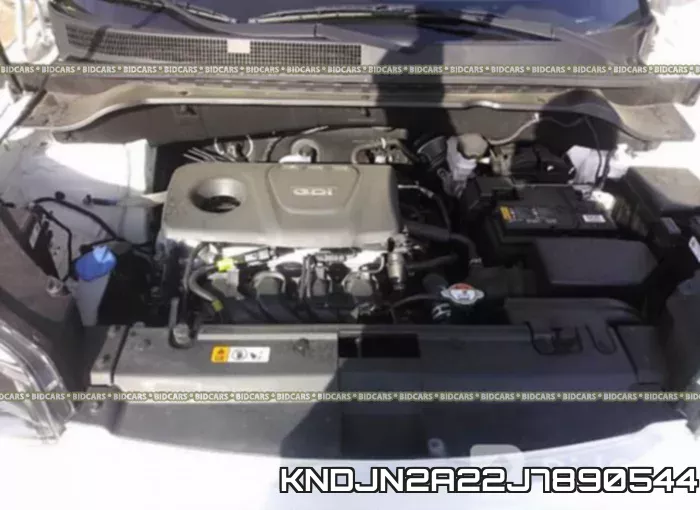KNDJN2A22J7890544 фото 2