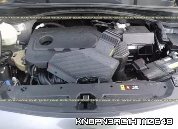 KNDPN3AC1H7110648 фото 2