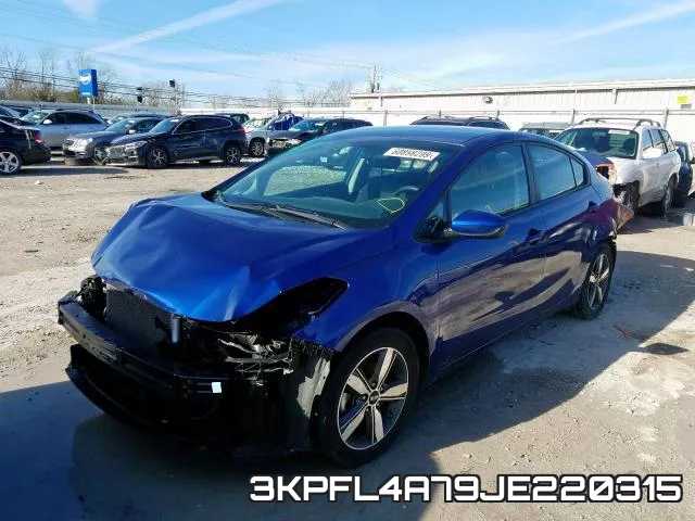 3KPFL4A79JE220315 фото 3
