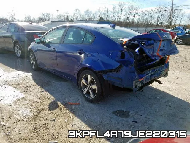 3KPFL4A79JE220315 фото 4
