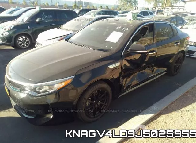 KNAGV4LD9J5025955 фото 3