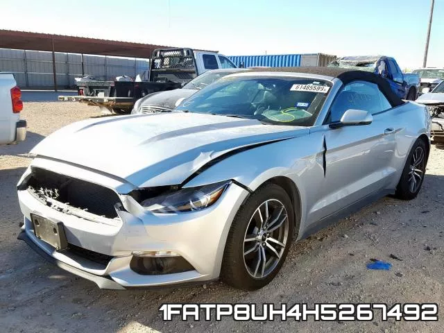 1FATP8UH4H5267492 фото 3