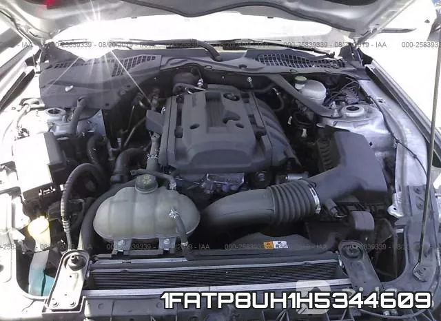 1FATP8UH1H5344609 фото 2