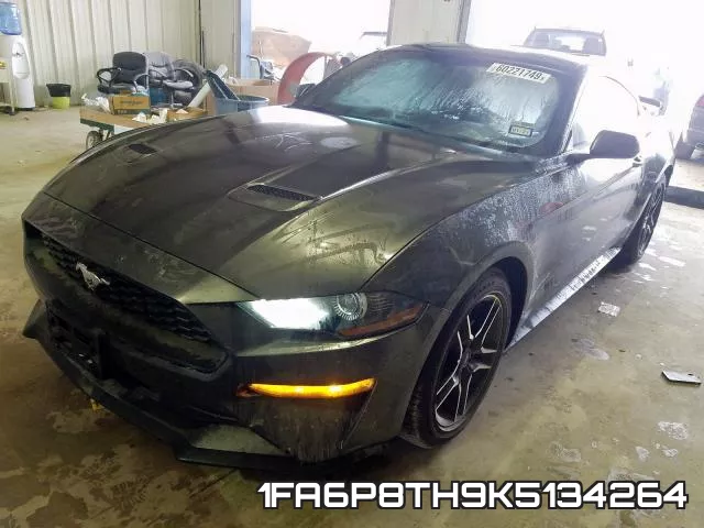 1FA6P8TH9K5134264 фото 3